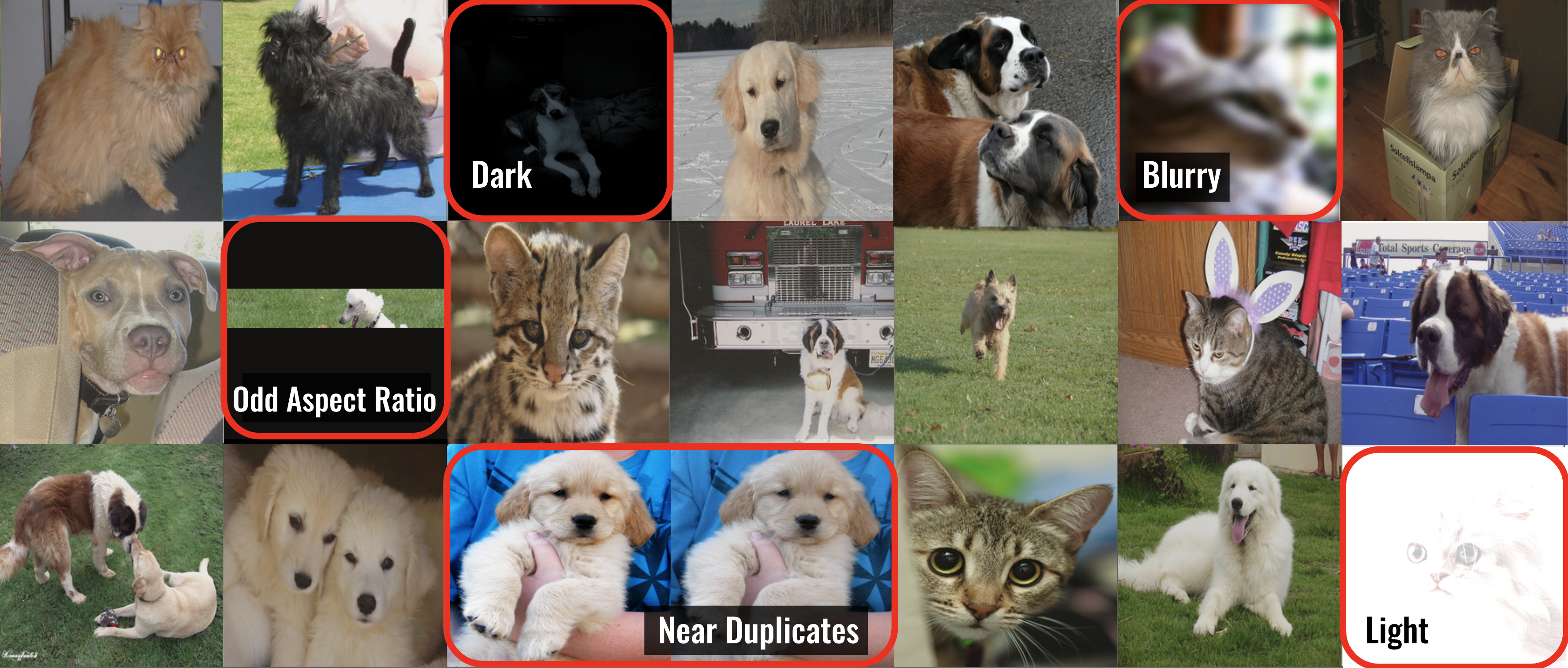 Issues detected in cat/dog dataset