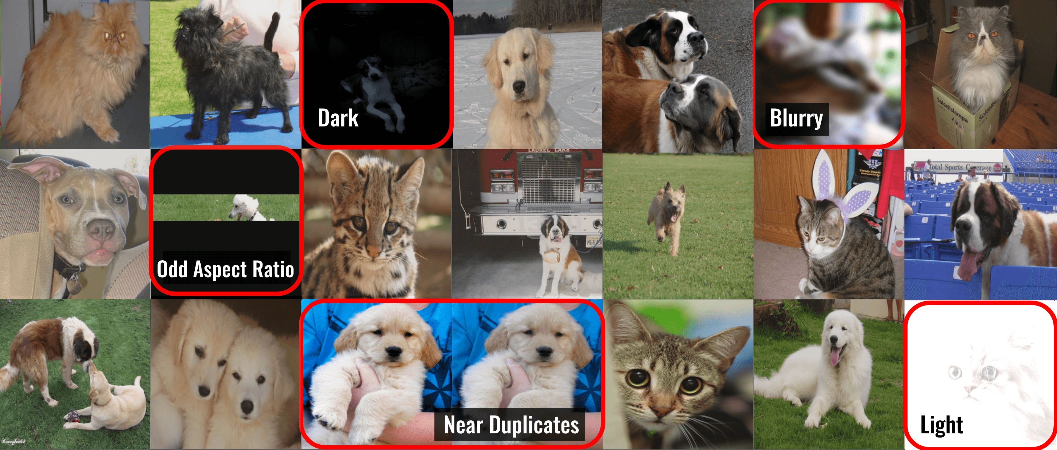 Issues detected in cat/dog dataset