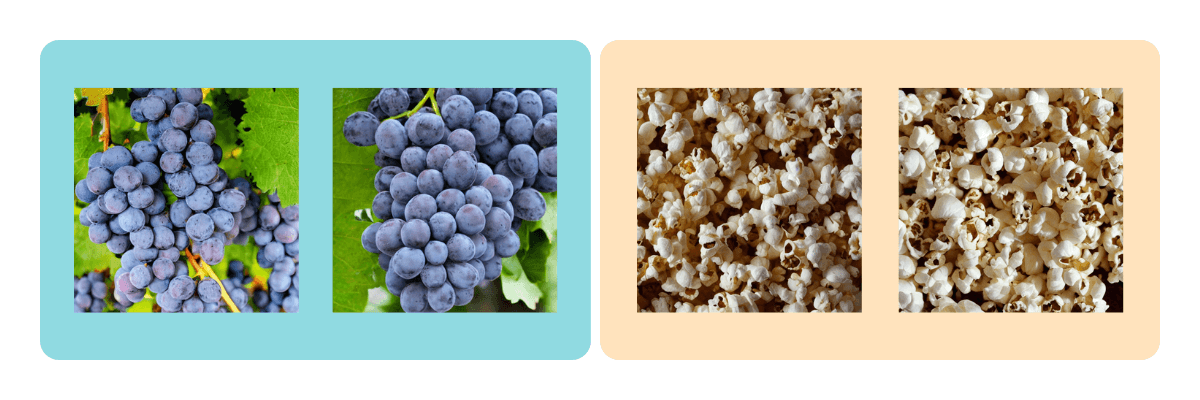 Synthetic near-duplicate images.