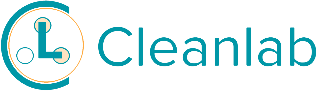 The first Cleanlab logo.