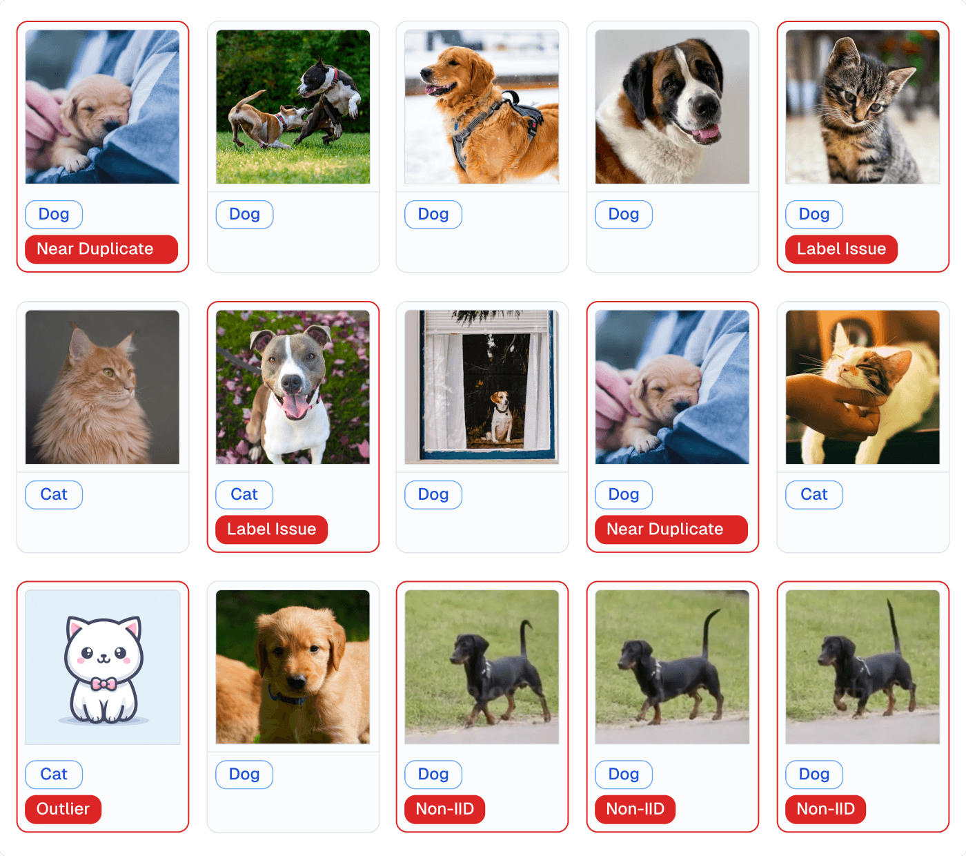 Detected issues in image data