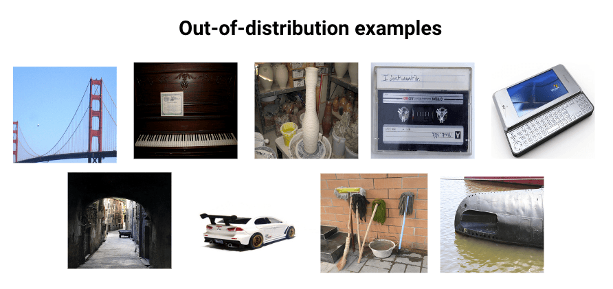 The out-of-distribution images in our constructed dataset