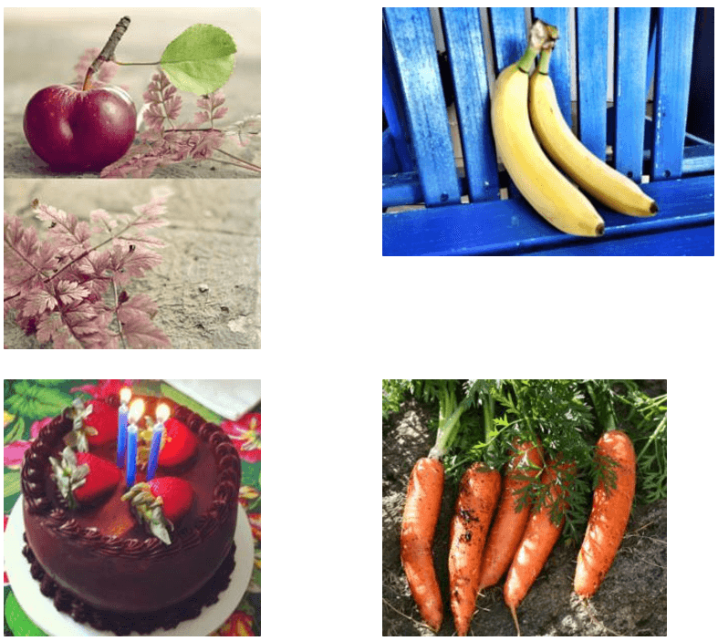 Random images from the Snacks dataset