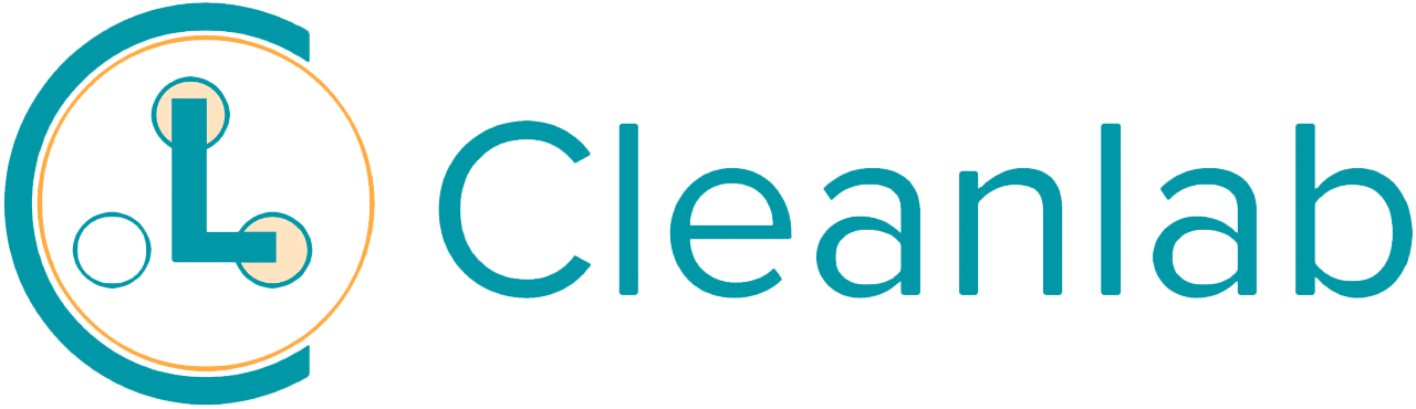 The first Cleanlab logo.