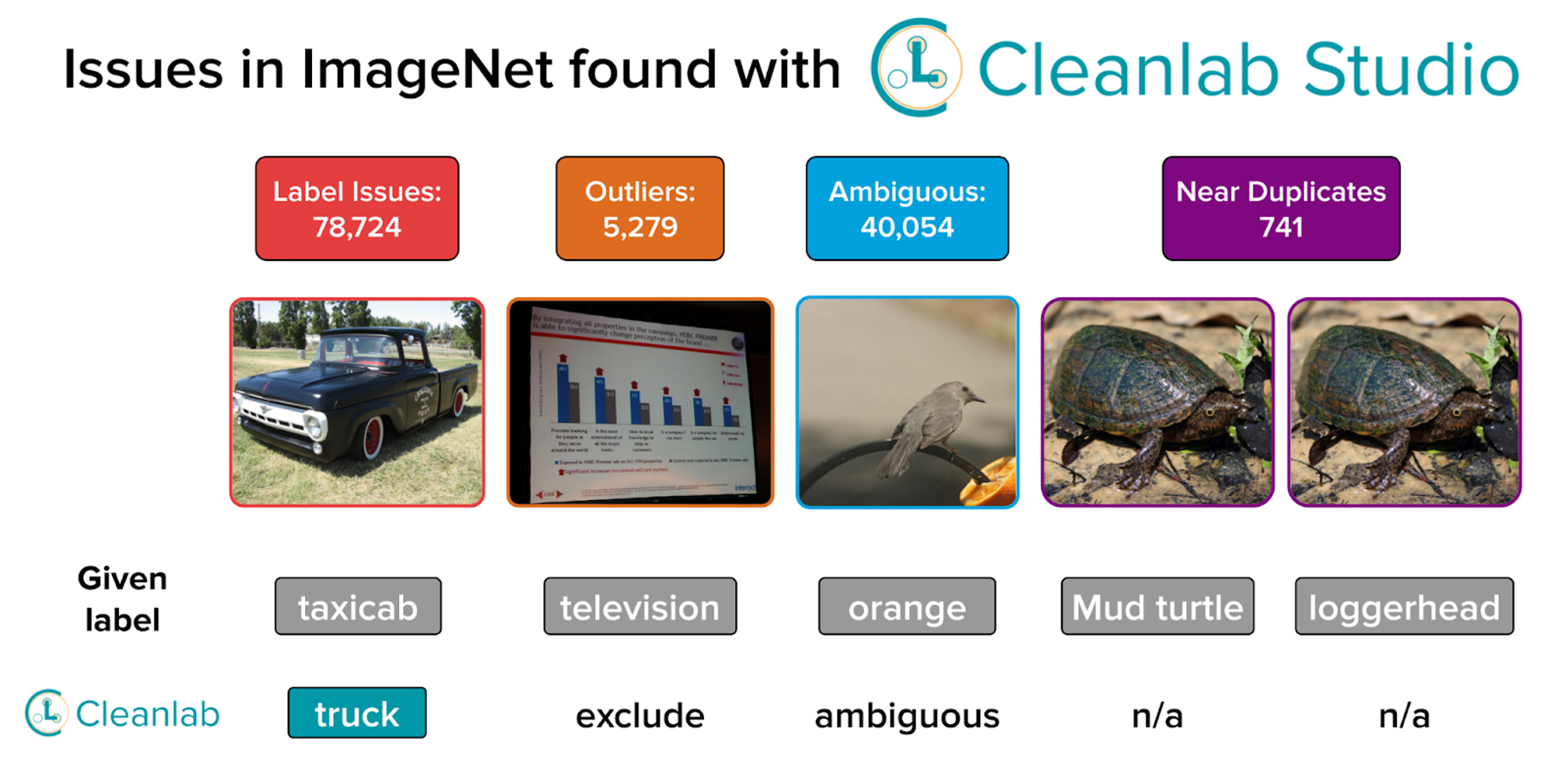 Issues found with Cleanlab software in IMAGENET.