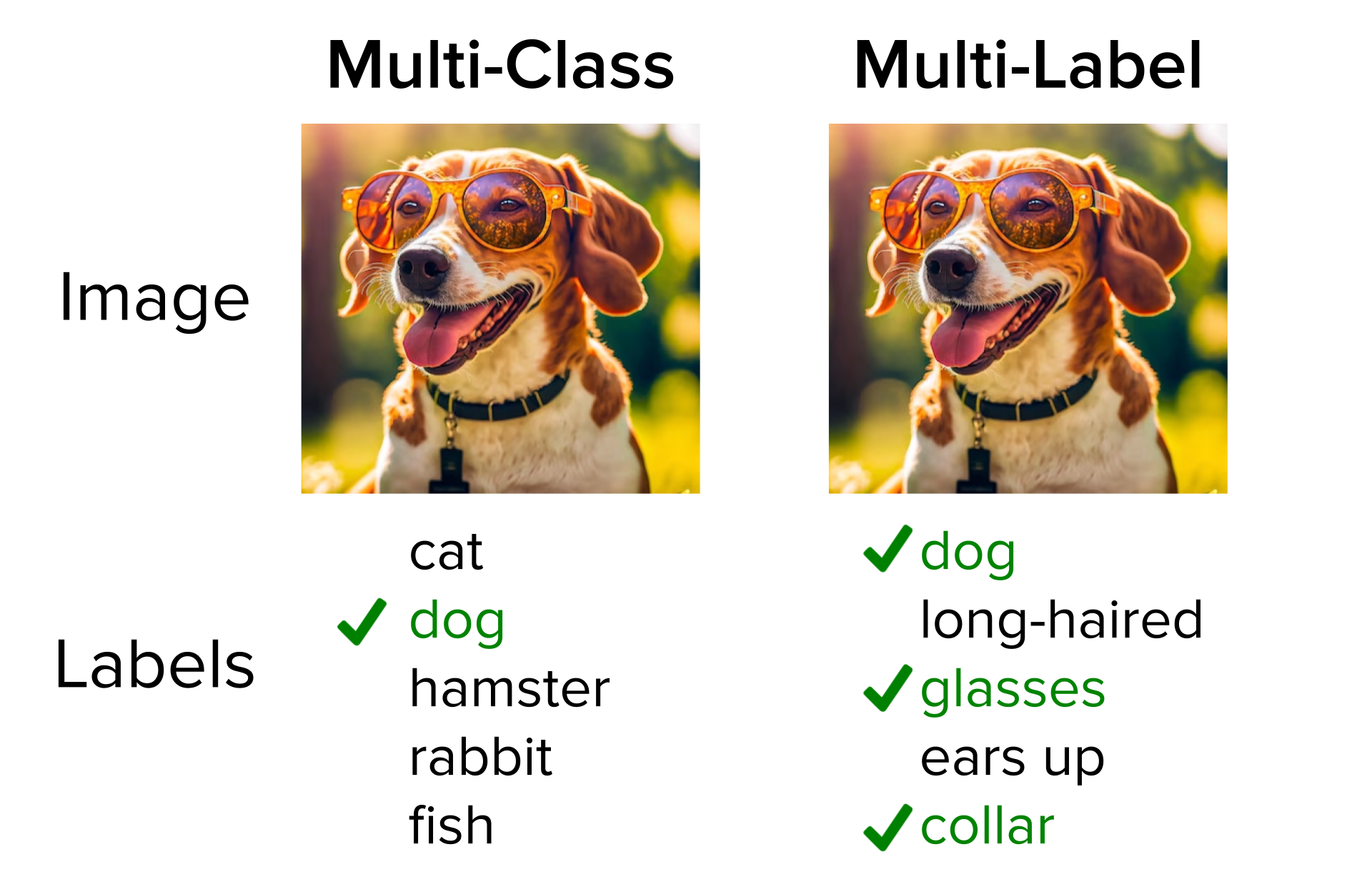 Multi-class versus multi-label diagram.