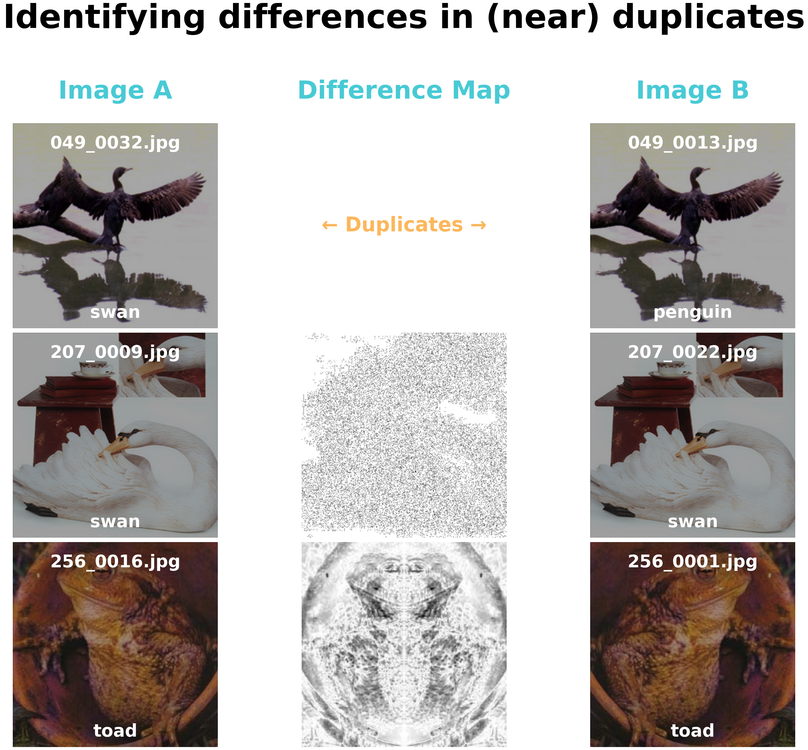 Near duplicates detected by Datalab in our dataset