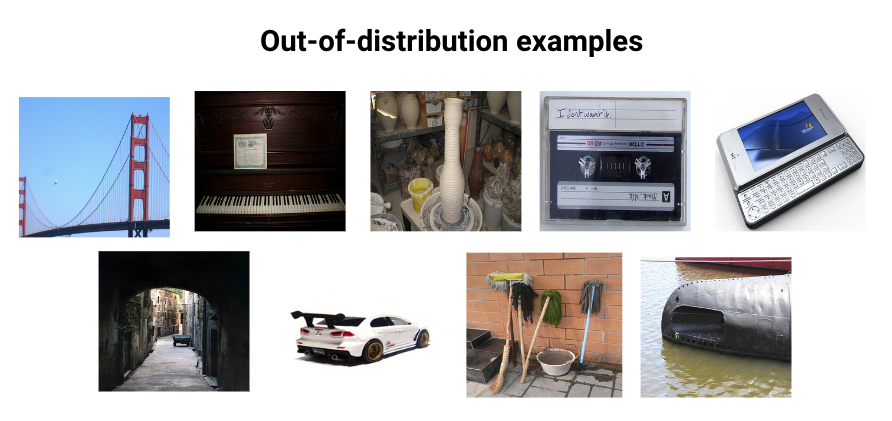 The out-of-distribution images in our constructed dataset