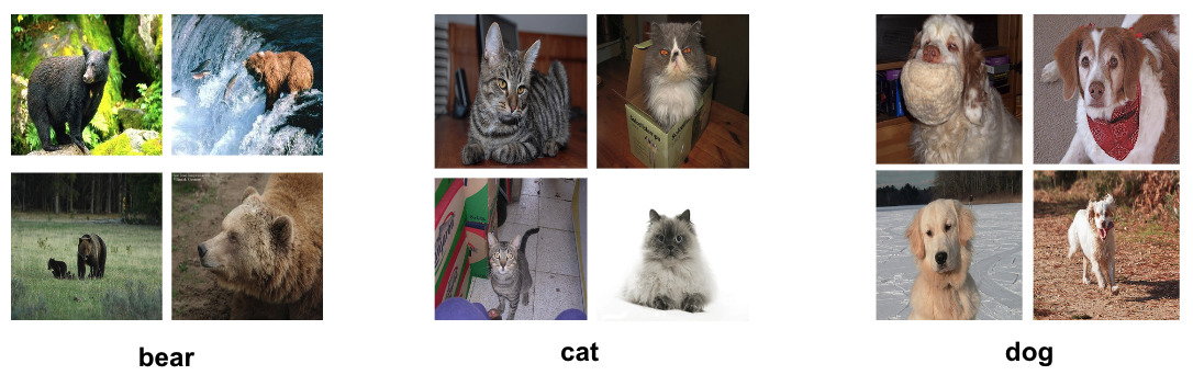 Some bears, cats, dogs from our constructed dataset