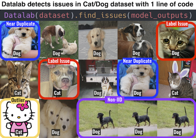 Issues detected by Datalab in a cat-dog dataset
