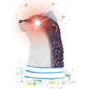 hireotter Logo